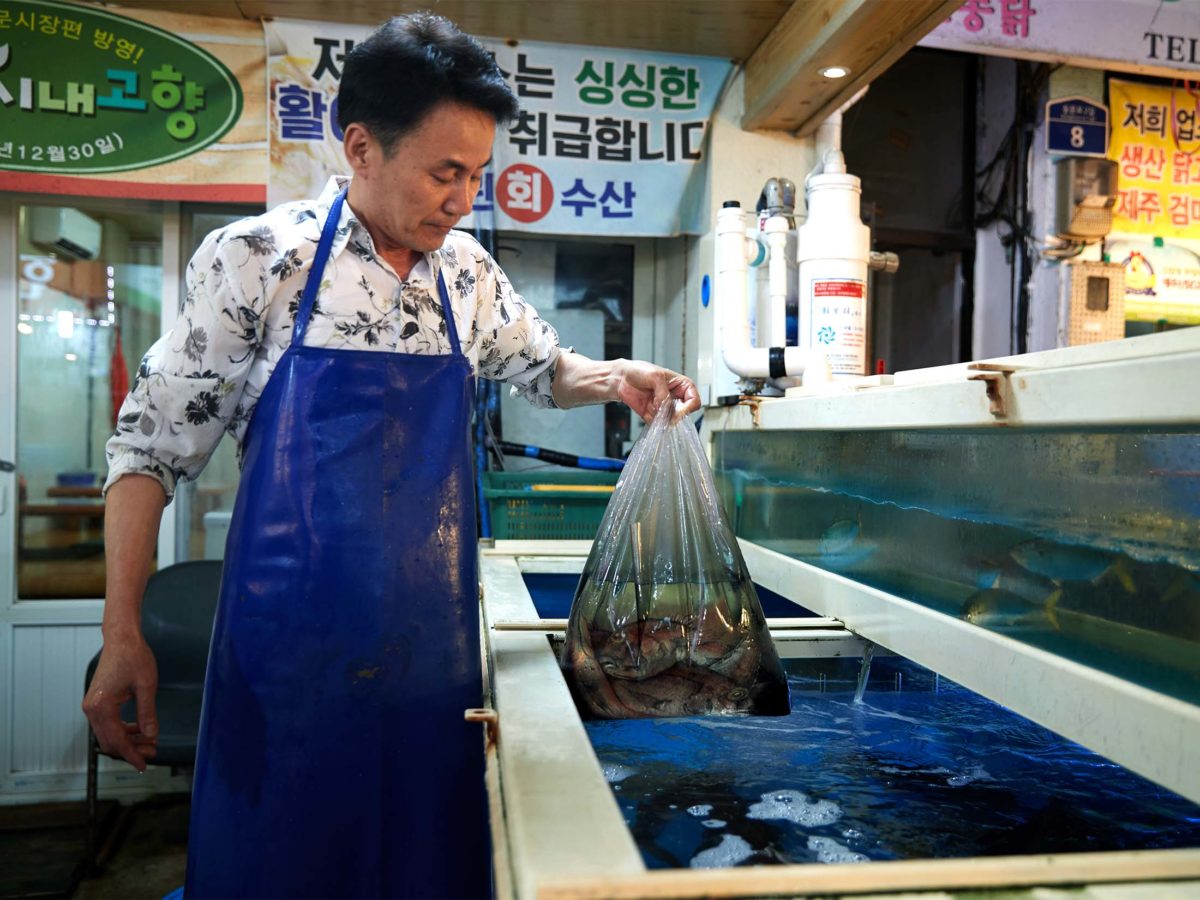 Маст-хэв будущей весны: сумка-пакет J.Kim с водой и живой рыбой