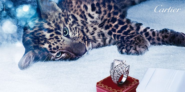 На счастье: как украшения Cartier помогают воплотить самые заветные мечты