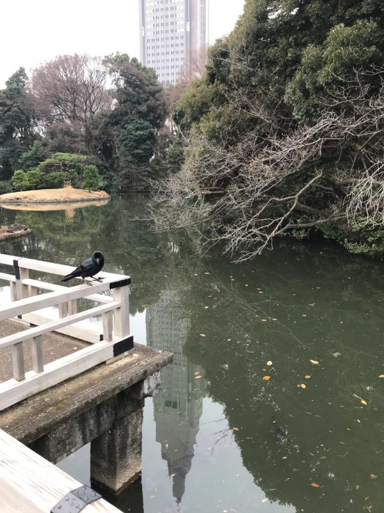 Гид по Токио: все, что порадует ваш Instagram