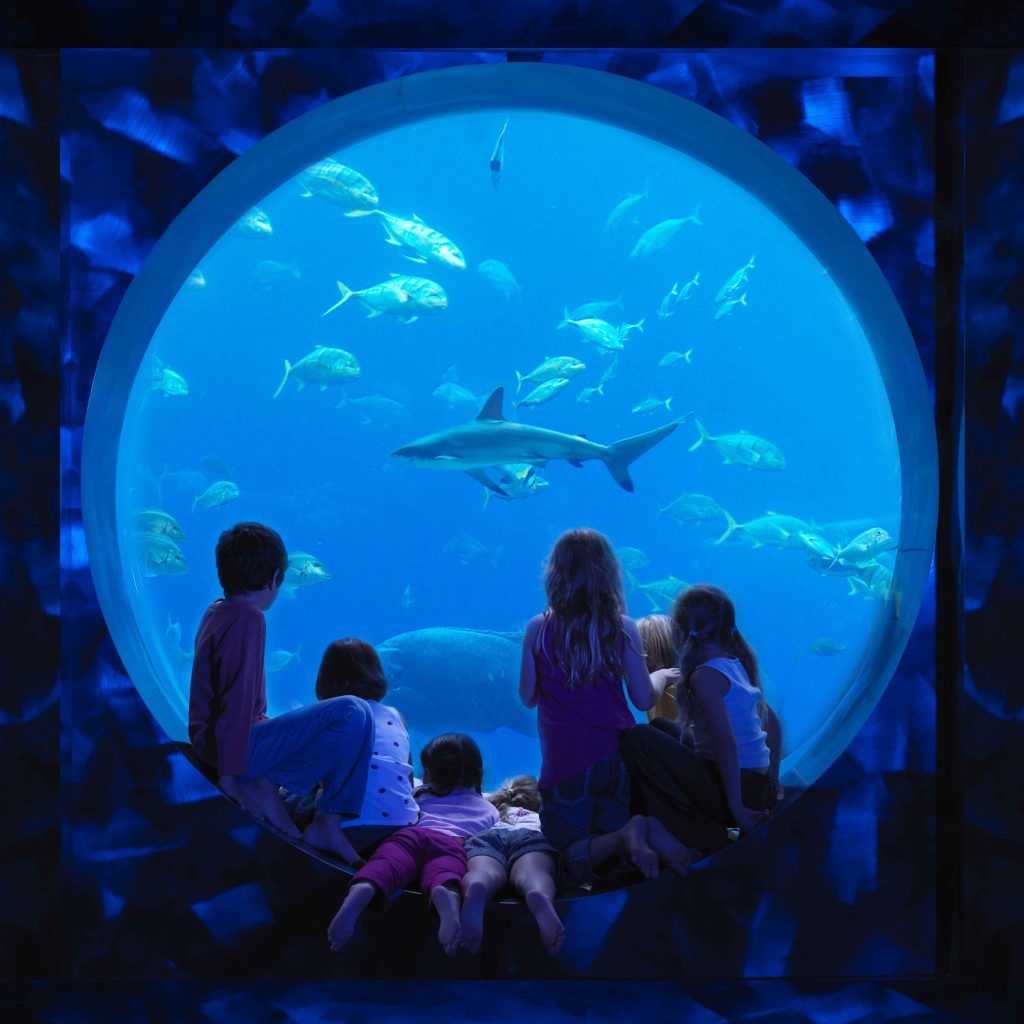 Atlantis, The Palm: лучший  отдых с детьми