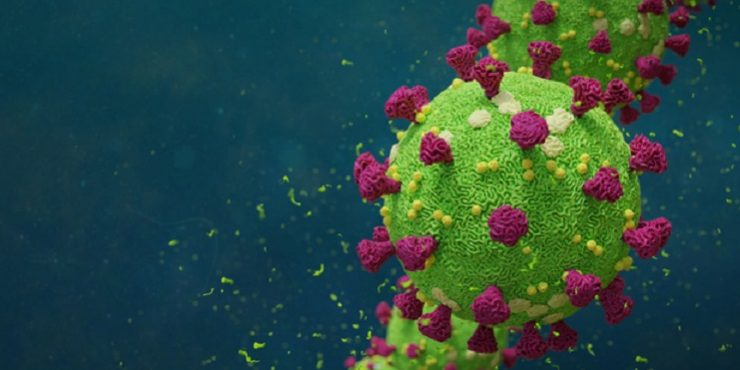 Новый вид коронавируса: почему он опаснее Covid-19?