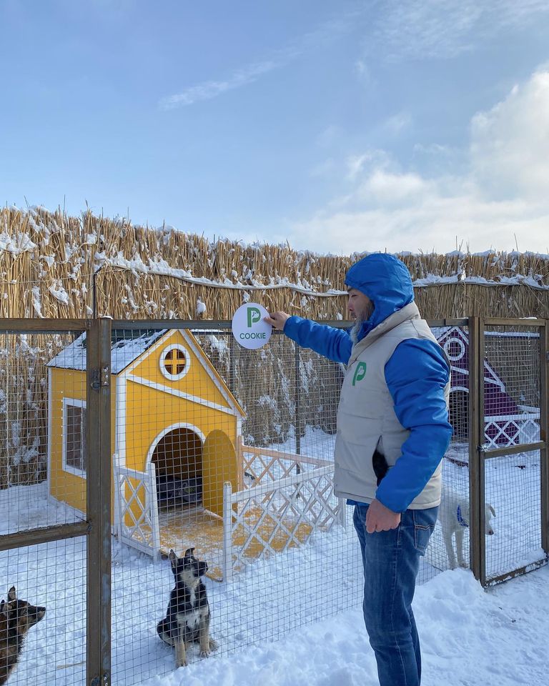 Деревня для помощи бездомным животным открылась в Алматы