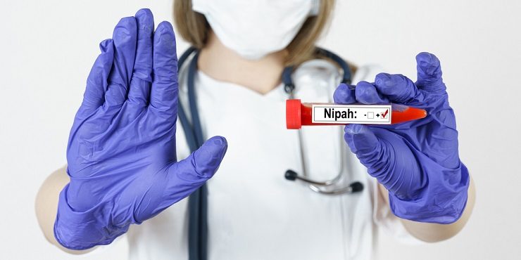 Проснулся смертоносный вирус Нипах: что о нем известно?