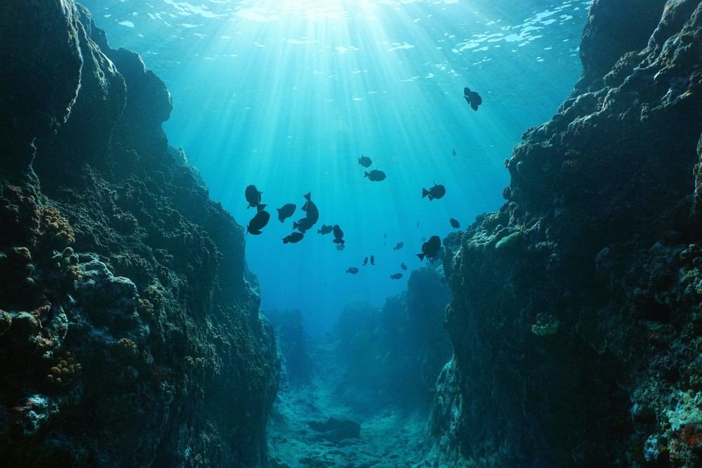 Какие тайны хранит в себе мировой океан?