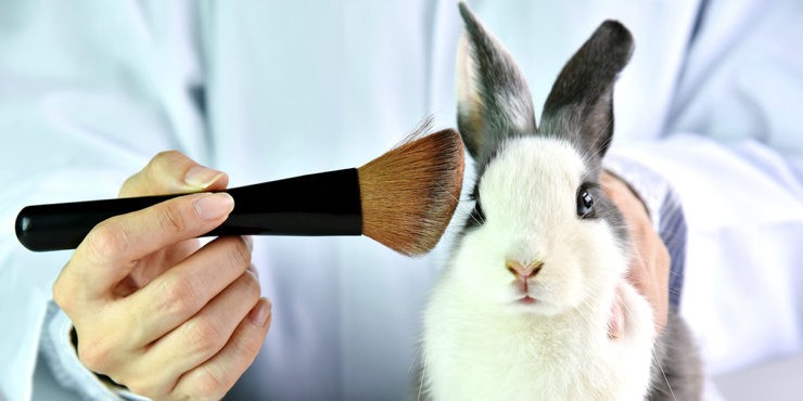 В Великобритании разрешили тестирование косметики на животных