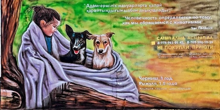 Жителей Павлодара восхитил новый мурал с изображением собак