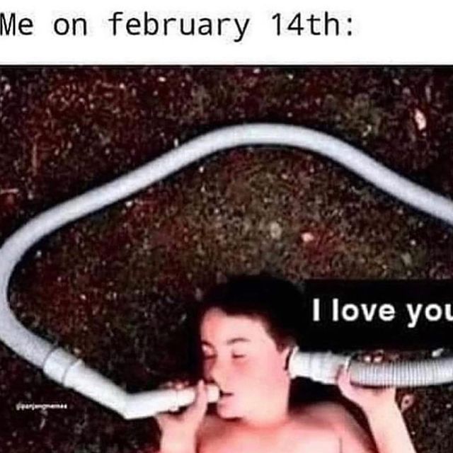 Мемы про День святого Валентина