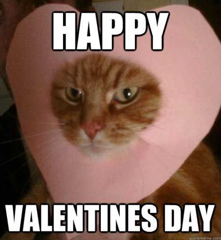 Мемы про День святого Валентина для тех, кто одинок