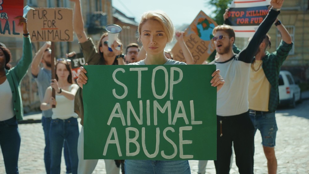 митинг за права животных