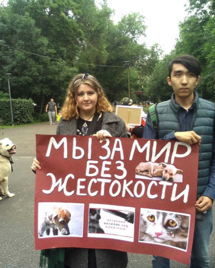 "Бездомные рождаются дома": как прошел митинг в защиту животных в Алматы?