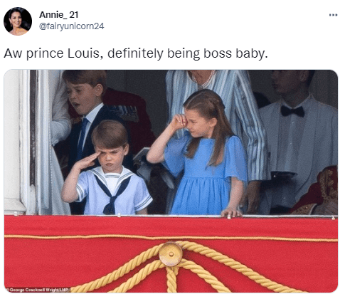 Как принц Луи стал мемом: лучшие шутки от пользователей сети