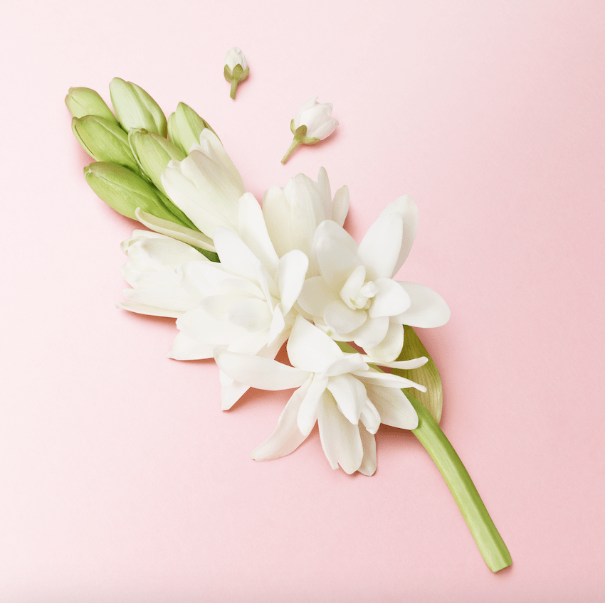 Отправляйтесь в цветочное путешествие вместе с новым ароматом Giorgio Armani My Way Floral