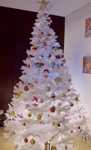 Санта, оцени: рождественские елки звезд