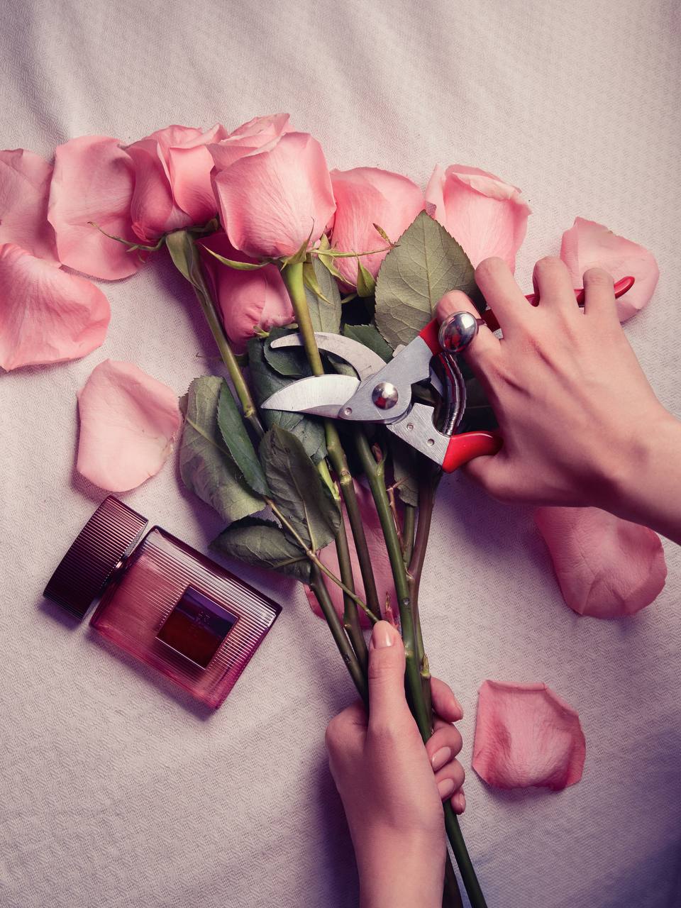 Необузданная чувственность: бренд Tom Ford представляет новый аромат Café Rose