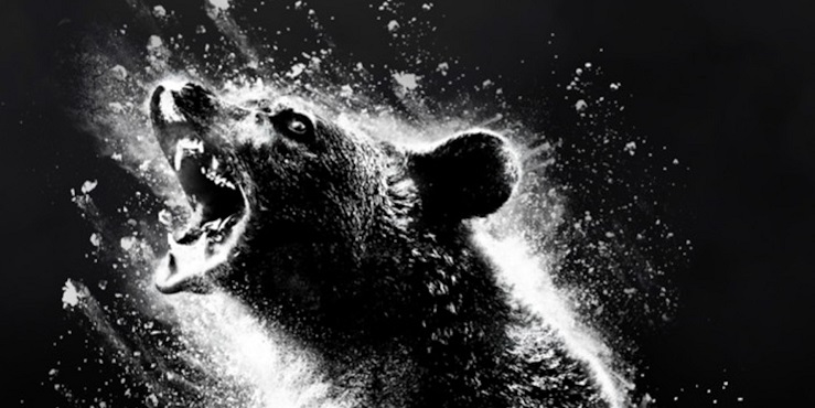 «Кокаиновый медведь»: что в фильме правда, а что вымысел?