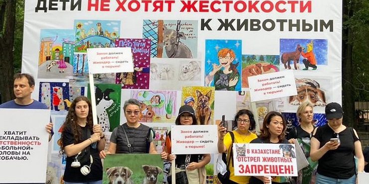 Митинг в Алматы против жестокого обращения с животными: как это было?