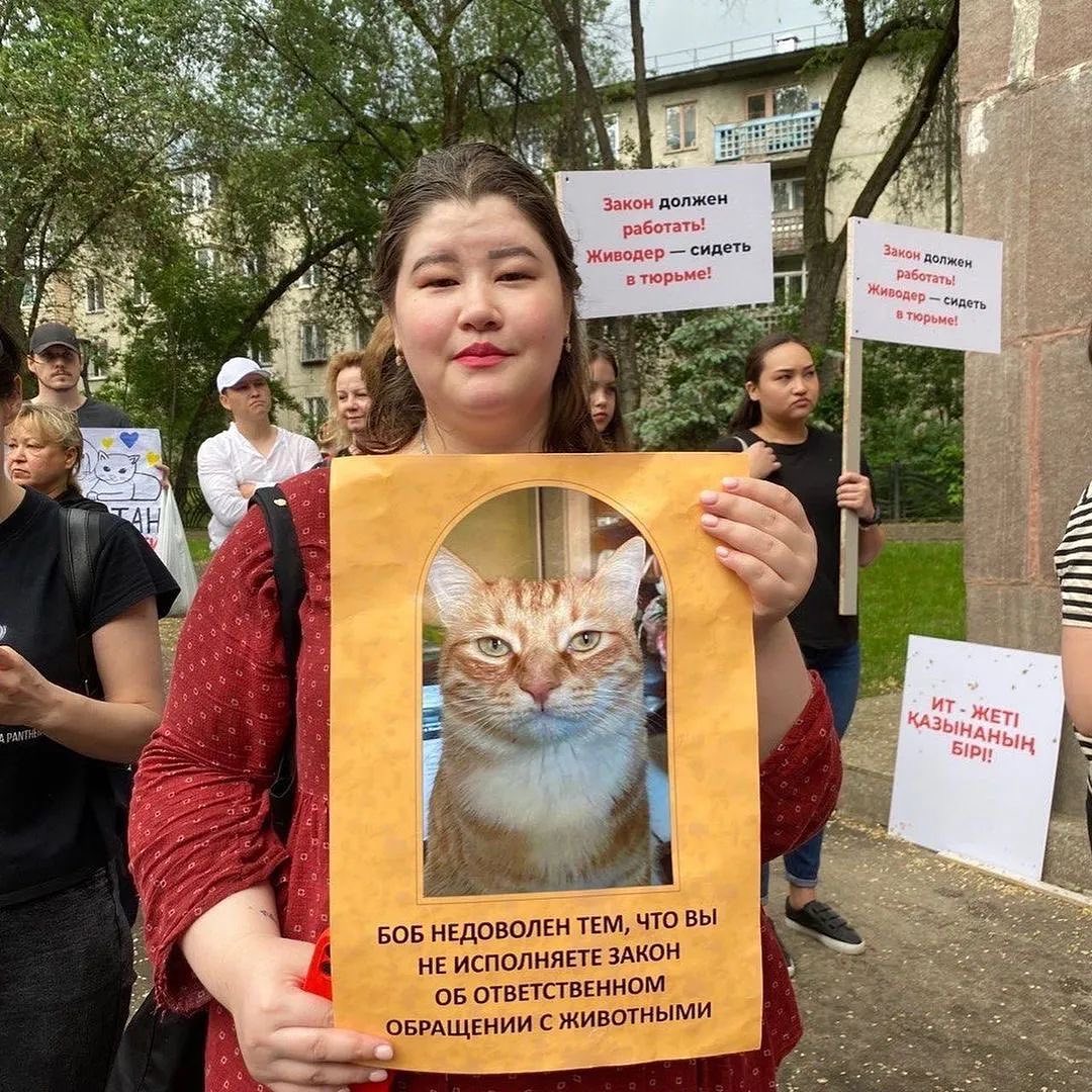 Митинг в Алматы против жестокого обращения с животными: как это было?
