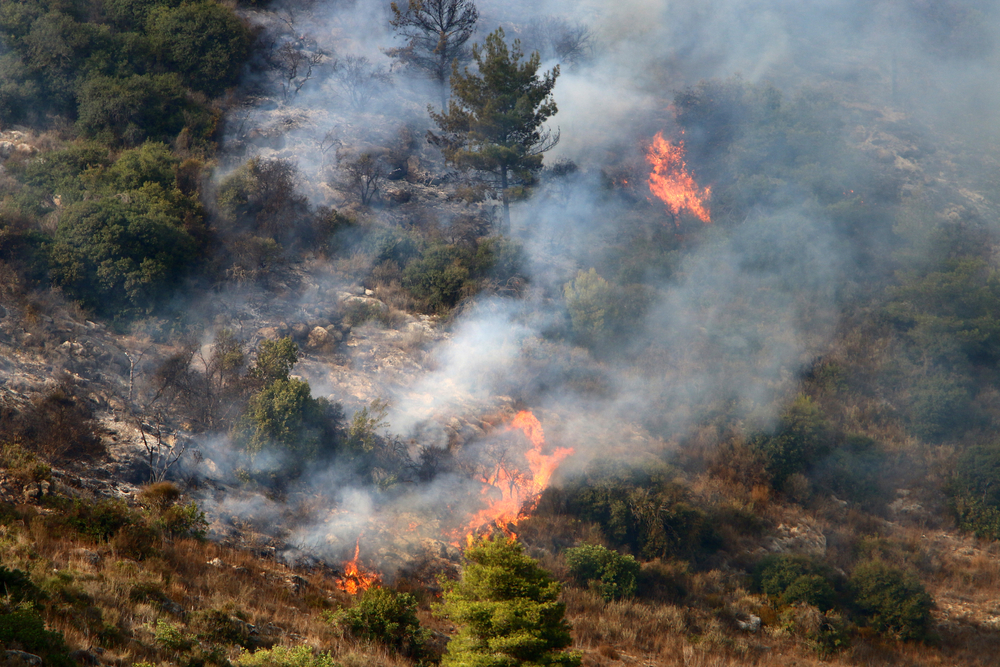 Самые разрушительные природные пожары в истории Земли
