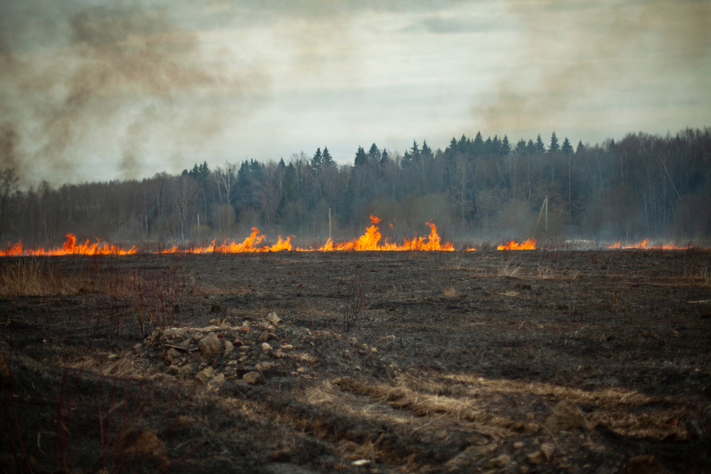 Самые разрушительные природные пожары в истории Земли