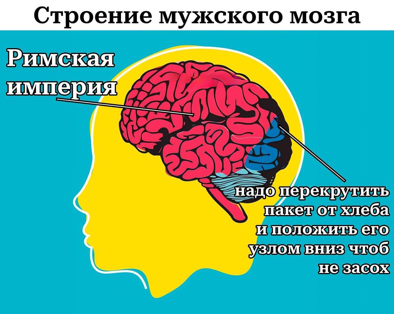 Все мужчины думают о Римской империи: так ли это на самом деле? Отвечают казахстанские селебрити