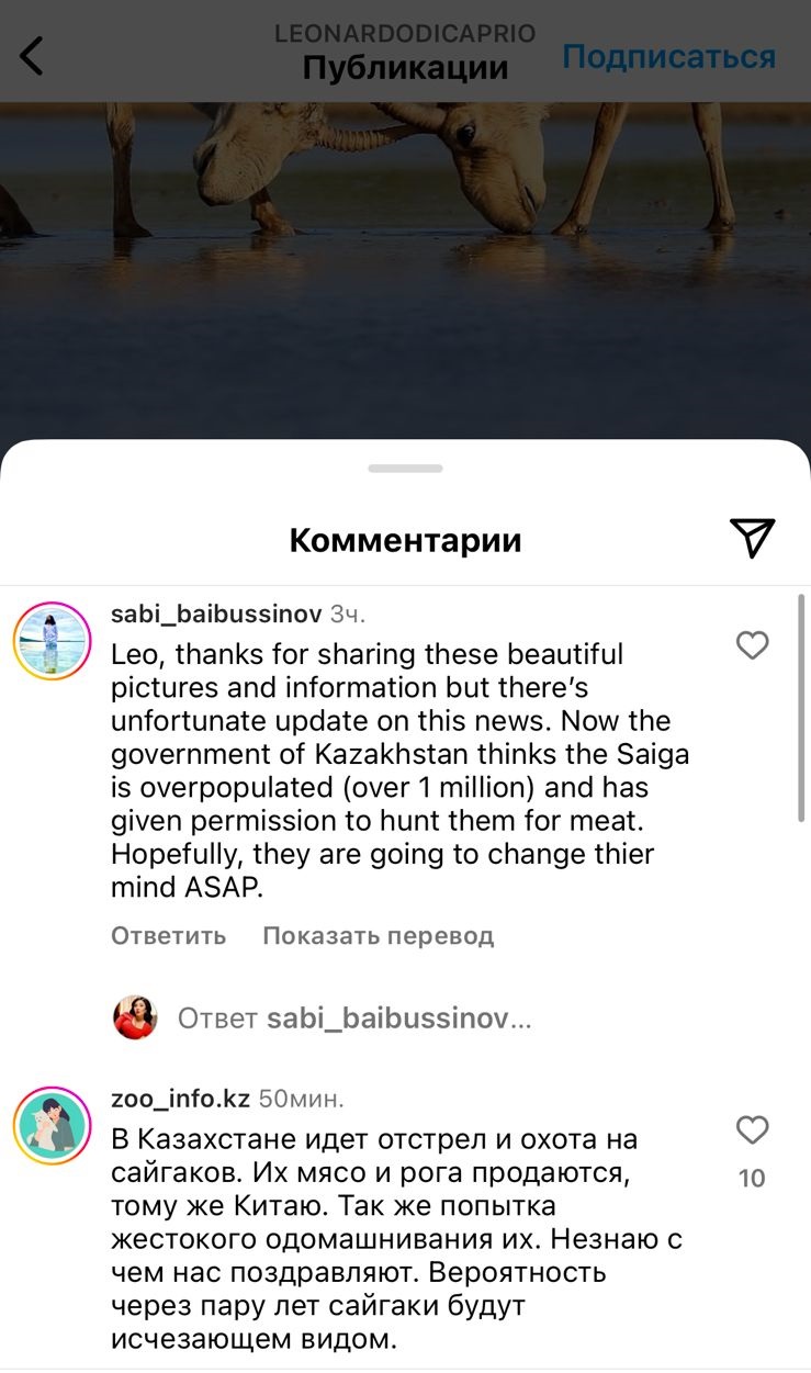 Леонардо Ди Каприо написал пост о Казахстане в Instagram: что его впечатлило?