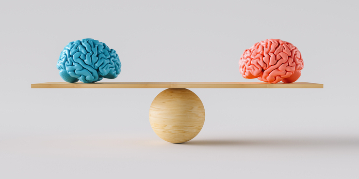 Искусственный интеллект нашел различие между женским и мужским мозгом