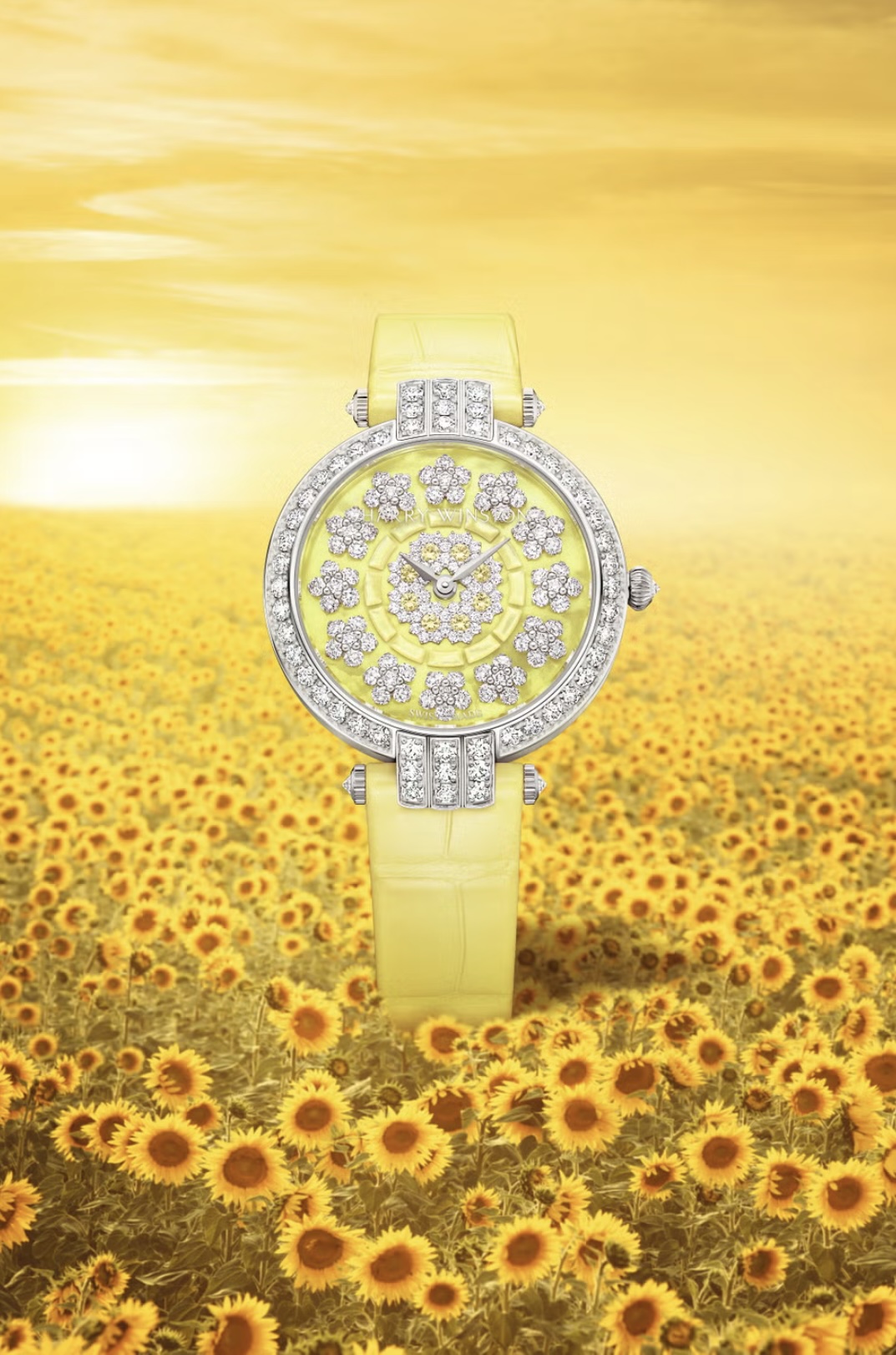 украшения Sunflower Harry Winston