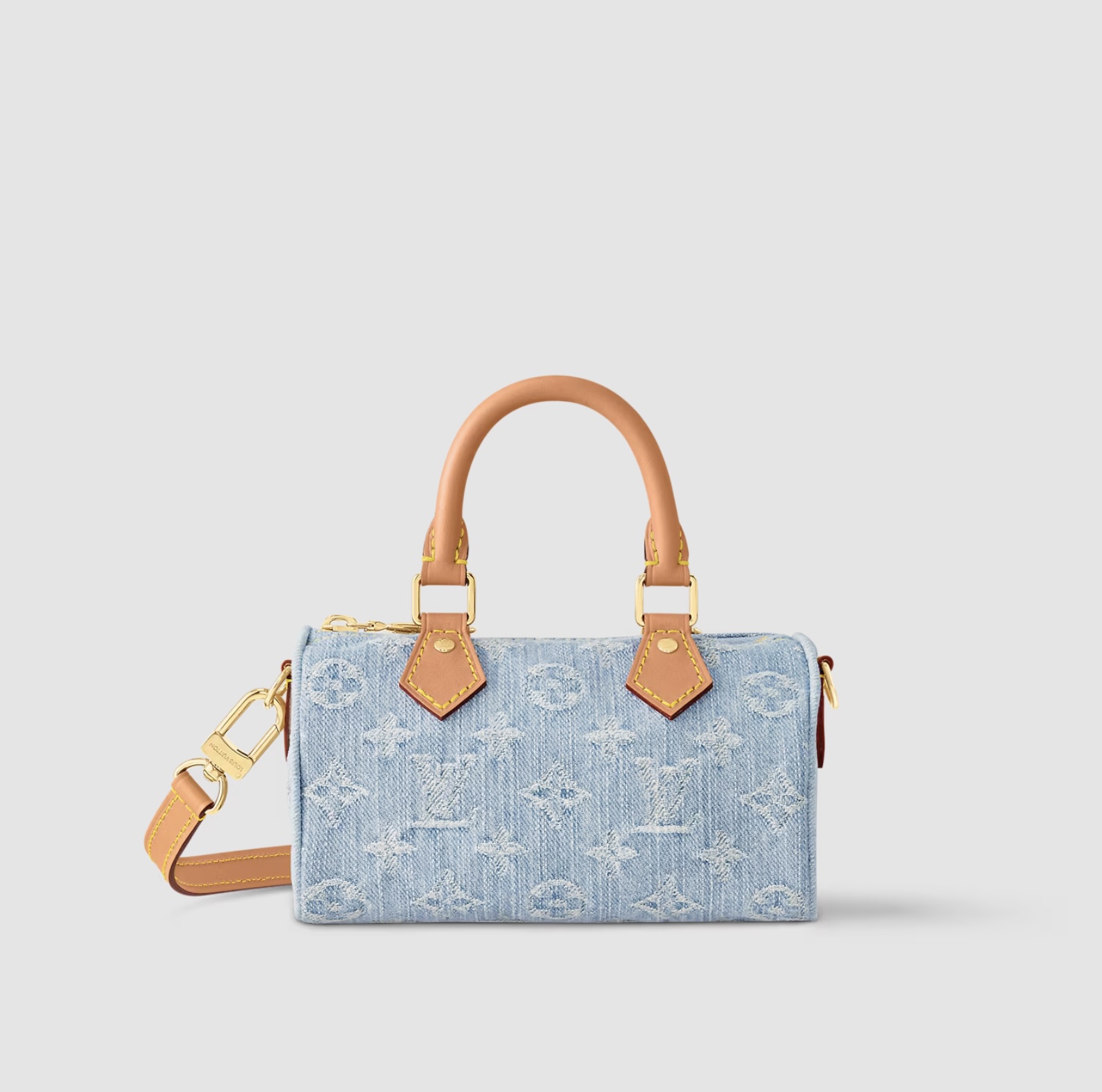 сумка Louis Vuitton Speedy