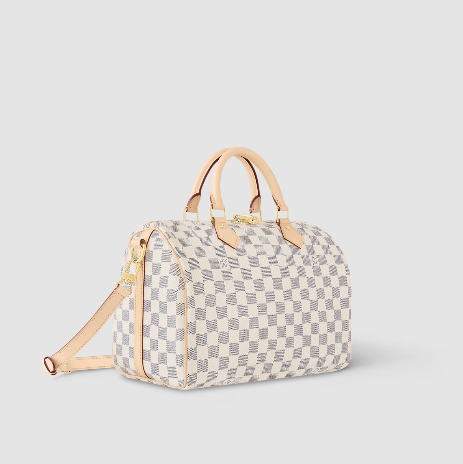 сумка Louis Vuitton Speedy