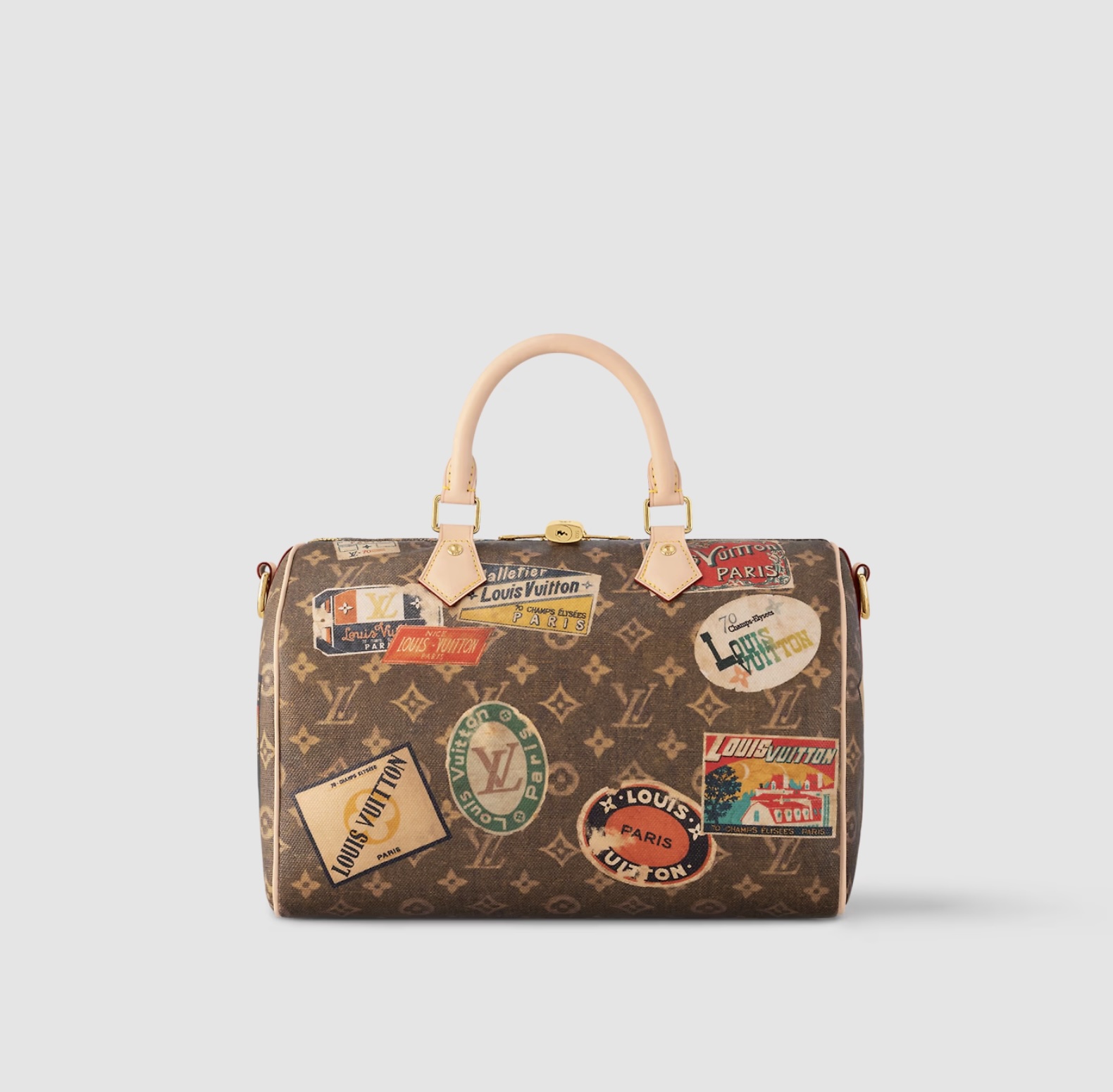 сумка Louis Vuitton Speedy