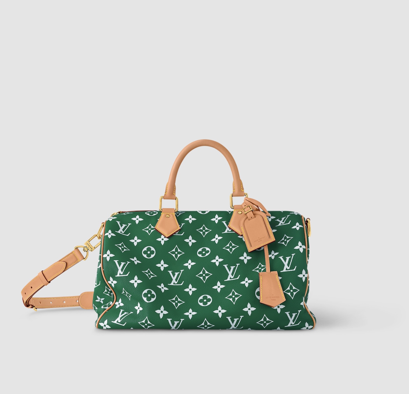 сумка Louis Vuitton Speedy