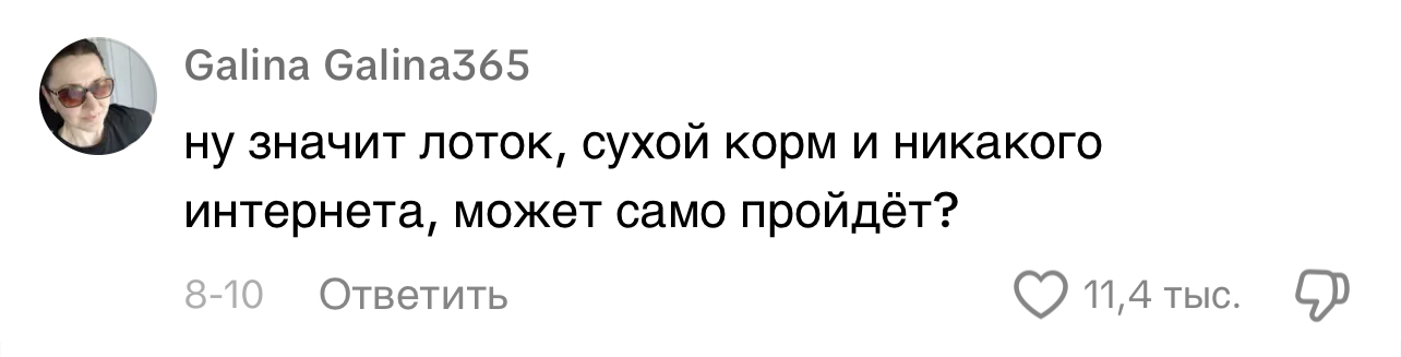 Квадробинг: что это такое и почему люди начали буквально вести себя как животные?